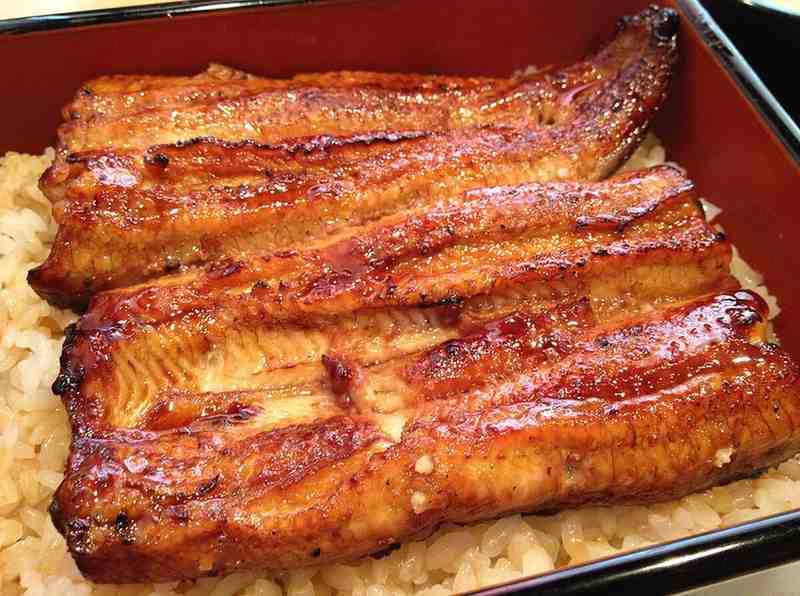 Unagi Kabayaki